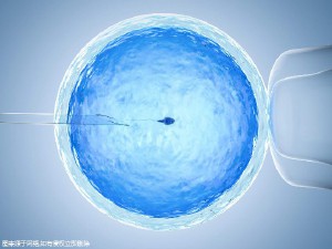 专家肖像